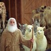 Evan Almighty Evan Almighty