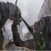 Aliens vs. Predator: Requiem Aliens vs. Predator: Requiem