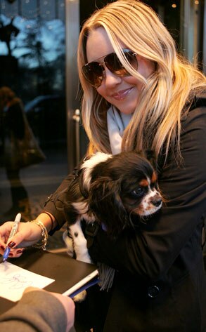 Amanda Bynes Amanda Bynes
