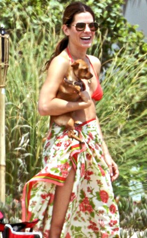 Sandra Bullock