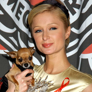Paris Hilton Paris Hilton