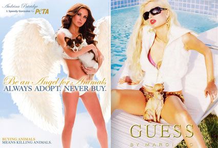 Paris Hilton, Guess Ad, Audrina Patridge, Peta Ad Paris Hilton, Guess Ad, Audrina Patridge, Peta Ad