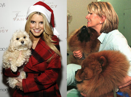 Jessica Simpson, Daisy, Martha Stewart, Chin Chin, Paw Paw Jessica Simpson, Daisy, Martha Stewart, Chin Chin, Paw Paw