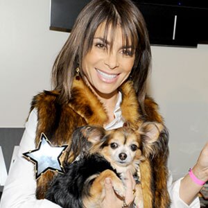 Paula Abdul Paula Abdul