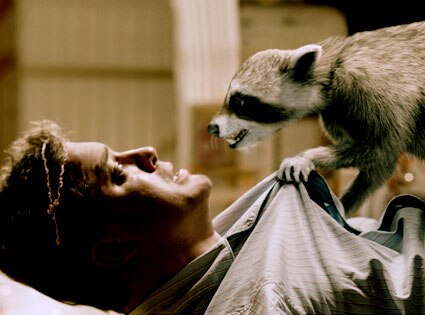 Brendan Fraser, Furry Vengeance Brendan Fraser, Furry Vengeance