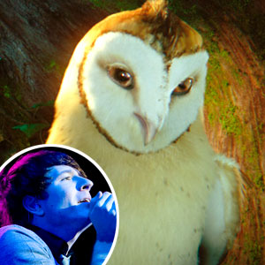 Owl City Tour Dates Usa Owl City Tour Dates Usa