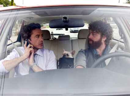 Due Date