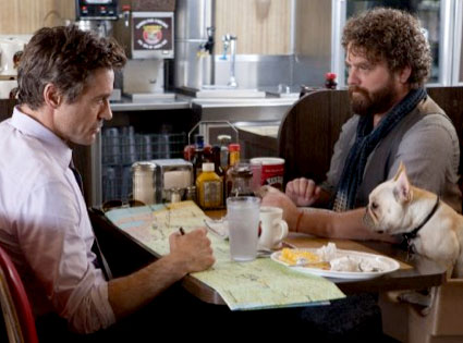 Due Date Due Date