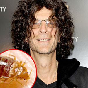 Howard Stern, Bedbug Howard Stern, Bedbug