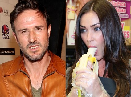 David Arquette, Jasmine Waltz David Arquette, Jasmine Waltz