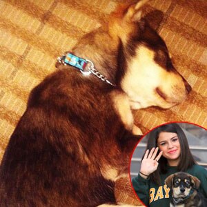 Selena Gomez, Twitter Selena Gomez, Twitter
