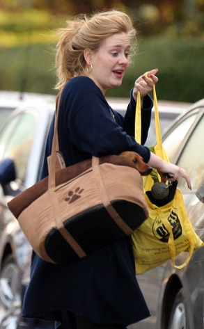 Adele Adele