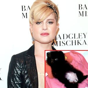 Kelly Osbourne, Noodles Kelly Osbourne, Noodles