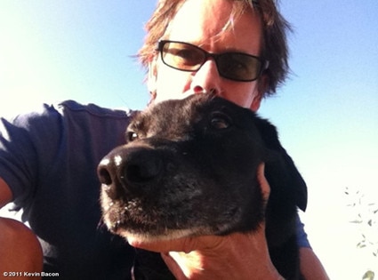 Kevin Bacon, WhoSay Kevin Bacon, WhoSay