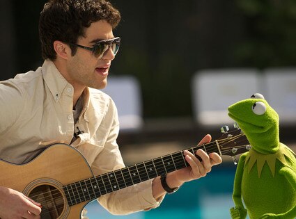 Darren Criss, Kermit Darren Criss, Kermit