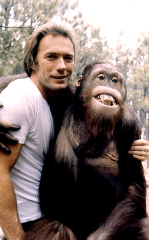 Clint Eastwood, Every Which Way But Loose