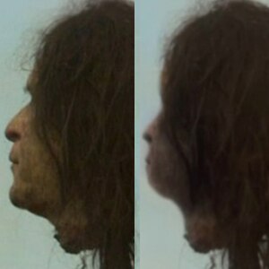 Game of Thrones, George Bush head Game of Thrones, George Bush head