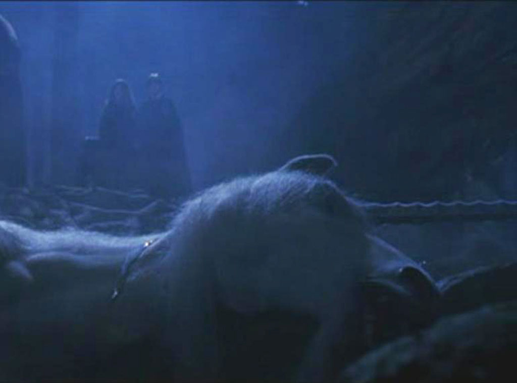 Harry Potter and the Sorcerer's Stone from Unicorns Hollywood's