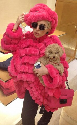 Lady Gaga Lady Gaga
