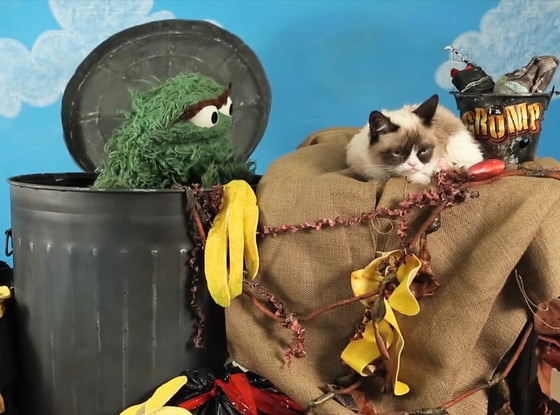 Grumpy Cat Meets Oscar the Grouch, Challenges the Sesame Street Grump ...
