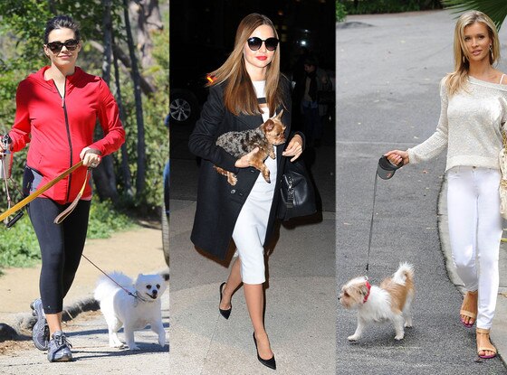 Miranda Kerr, Jenna Dewan Tatums, Joanna Krupa, Dog Miranda Kerr, Jenna Dewan Tatums, Joanna Krupa, Dog