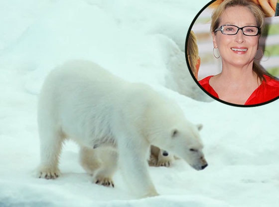 Meryle Streep Meryle Streep