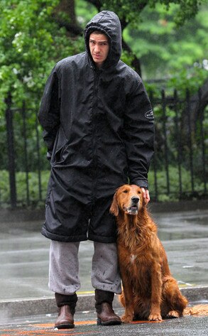 Andrew Garfield Andrew Garfield
