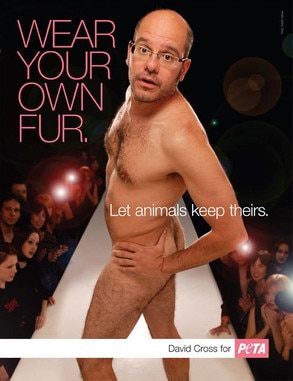 David Cross Never Nude 101