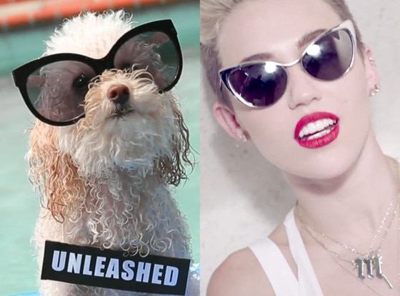 We Can Bark, We Can't Stop, Miley Cyrus We Can Bark, We Can't Stop, Miley Cyrus