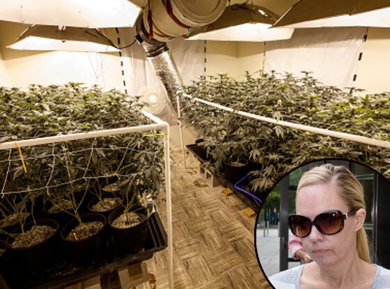 Andrea Sanderlin, Pot Mom Andrea Sanderlin, Pot Mom