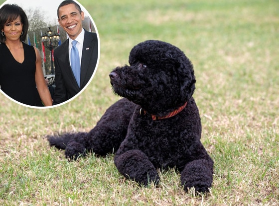 Sunny, Michelle Obama, Barack Obama Sunny, Michelle Obama, Barack Obama
