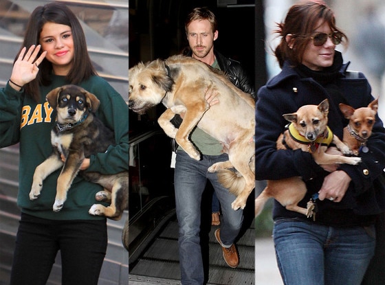 Selena Gomez, Ryan Gosling, Sandra Bullock Selena Gomez, Ryan Gosling, Sandra Bullock