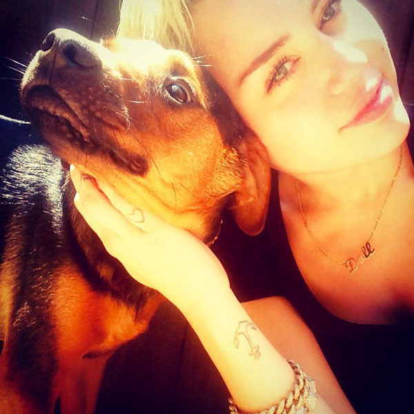 Puppy Love from Miley ... Miley Cyrus Instagram