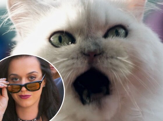 Katy Perry, Roar Music Video Katy Perry, Roar Music Video