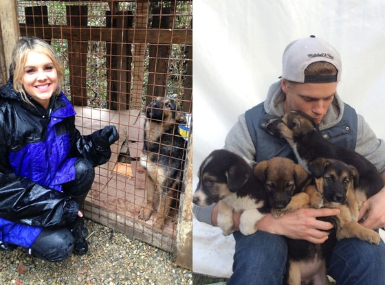 Gus Kenworthy, Olympics, Sochi Puppies Gus Kenworthy, Olympics, Sochi Puppies