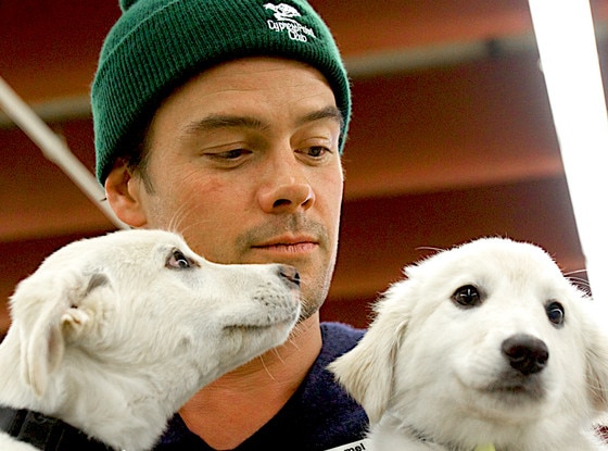 Josh Duhamel, Puppies Josh Duhamel, Puppies
