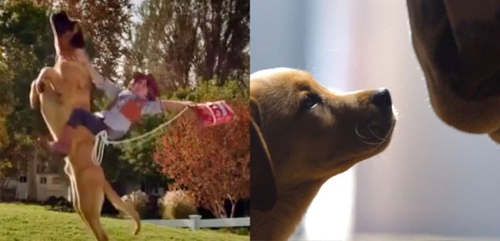 Doritos, Budweiser Super Bowl XLVIII Commercial Doritos, Budweiser Super Bowl XLVIII Commercial