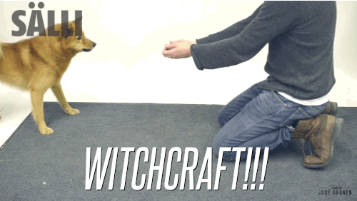 rs_500x282-140324103742-salli1.gif?fit=i