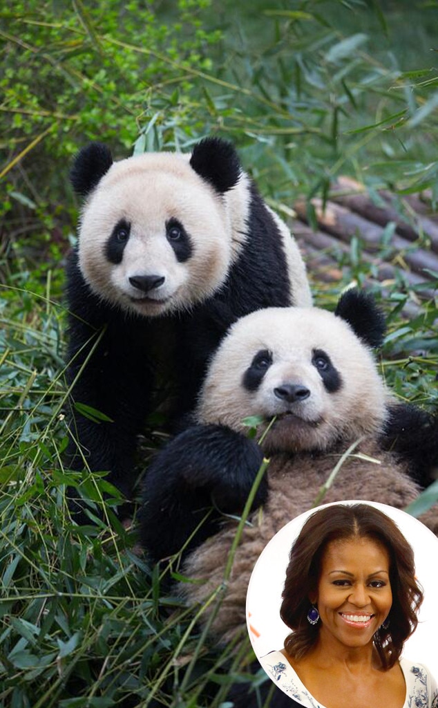 Michelle Obama, Chengdu Panda Base Michelle Obama, Chengdu Panda Base