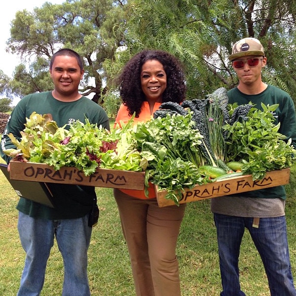 Oprah, Garden, Instagram Oprah, Garden, Instagram