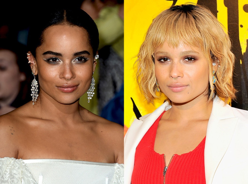 Zoe Kravitz's Blue Hair Is the Ultimate Hair Color for Summer - wide 8