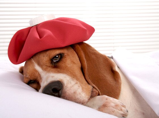 Hangover Hangover