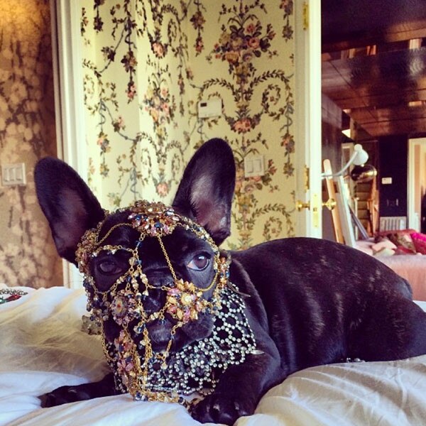 Lady Gaga Instagram Lady Gaga Instagram