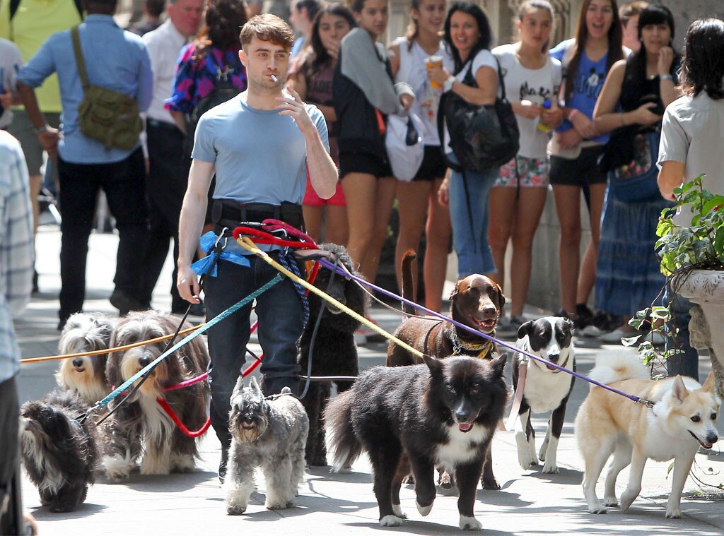 Daniel Radcliffe