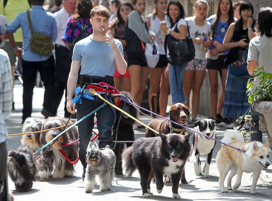 Daniel Radcliffe Daniel Radcliffe