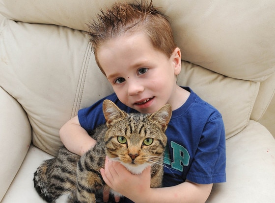 Smudge the Hero Cat Smudge the Hero Cat