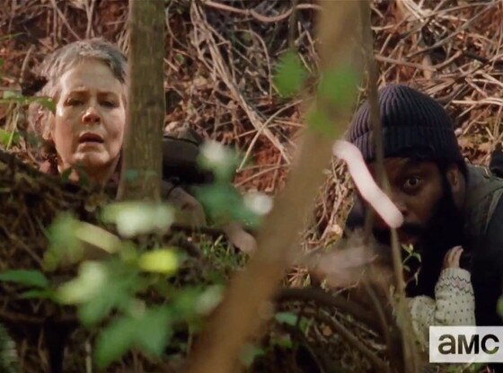 The Walking Dead The Walking Dead