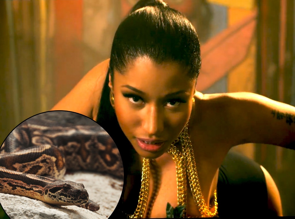 Nicki Minaj, Snake Nicki Minaj, Snake
