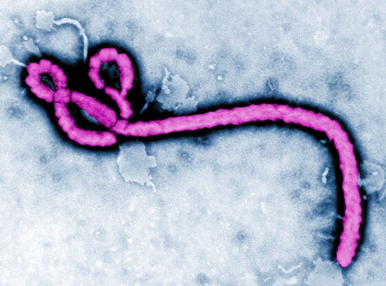 Ebola Virus Ebola Virus