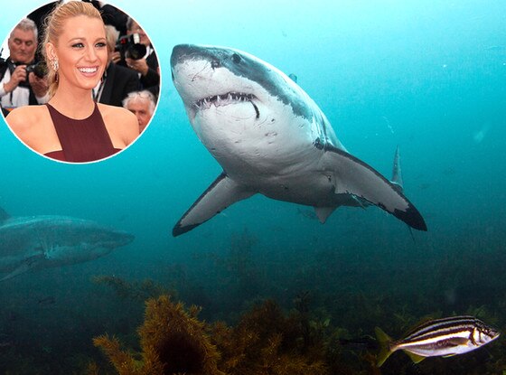 Blake Lively, Shark Blake Lively, Shark